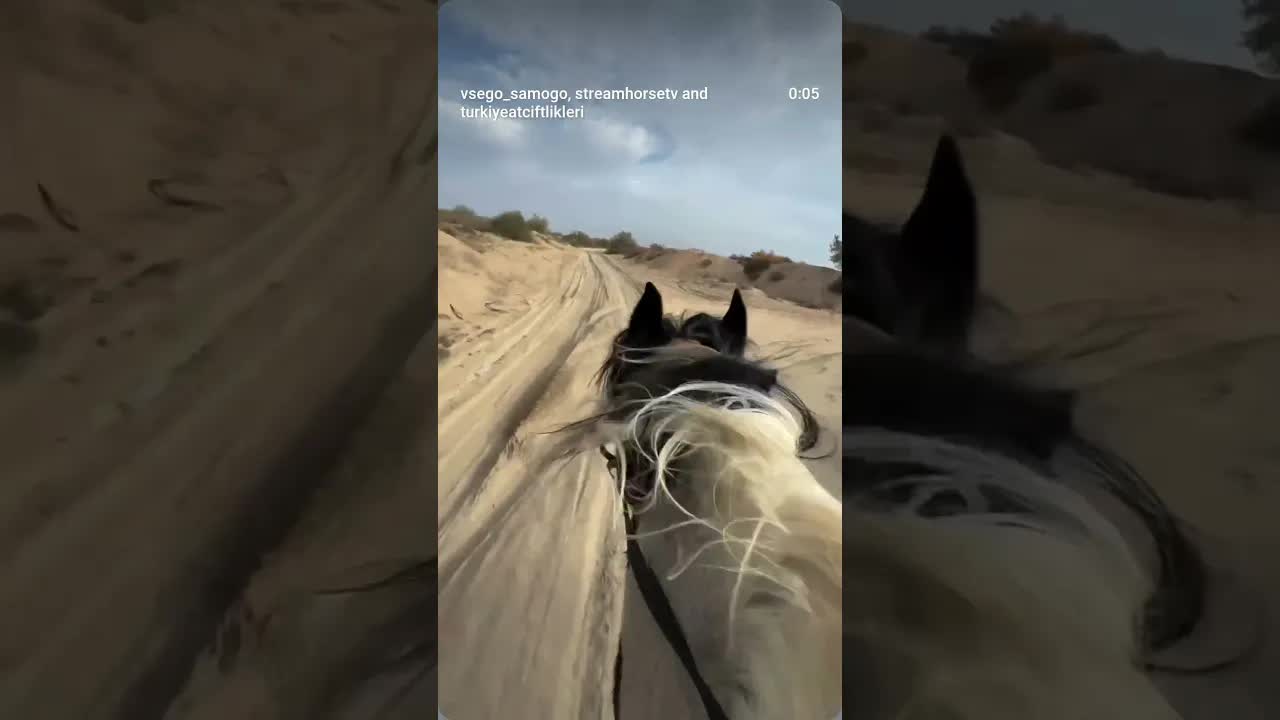 feel the horsepower 🏇💥