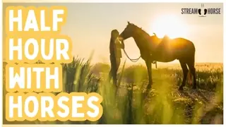 Relaxing Horse Sanctuary 🐎 30 Minutes of Peace (No News, No Politics, Nature Sounds)