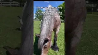Grazing isn’t random.
