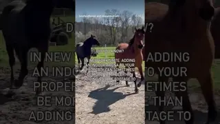 Indoor arena is greater than kitchen reno, at least according to horse people. 🙃