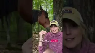 People often ask me how horses shift out of stress so easily...