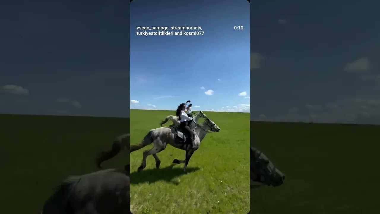 🐎💕