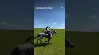 🐎💕