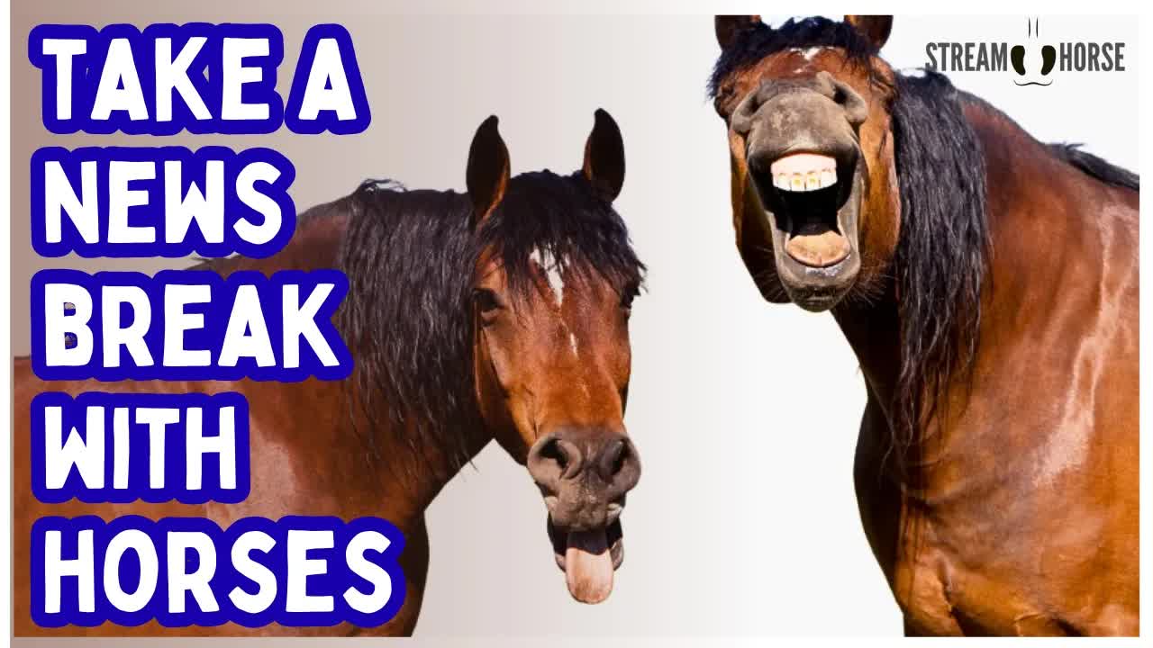 Relaxing Horse Videos for Stress Relief (20 Minutes) 😁🐎✨ Nature Therapy