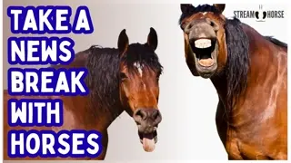 Relaxing Horse Videos for Stress Relief (20 Minutes) 😁🐎✨ Nature Therapy