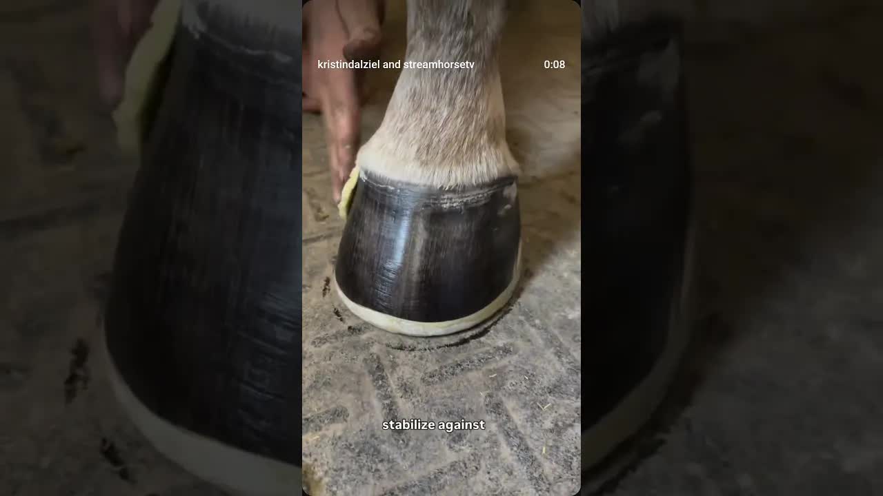Canadian made & family run @hoofengineering provides smart, thoughtful hoof care products.