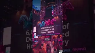 100 Cruelty Charges, 6,000-Year Horse History & $1M UK Vet Gift 🐴🌎💥