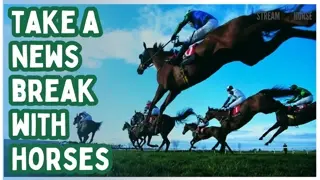 Stop Doomscrolling 🛑🐎 20 Minutes of Peaceful Horses to Calm Your Mind