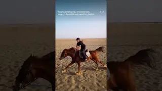 Just free 🔥🔥