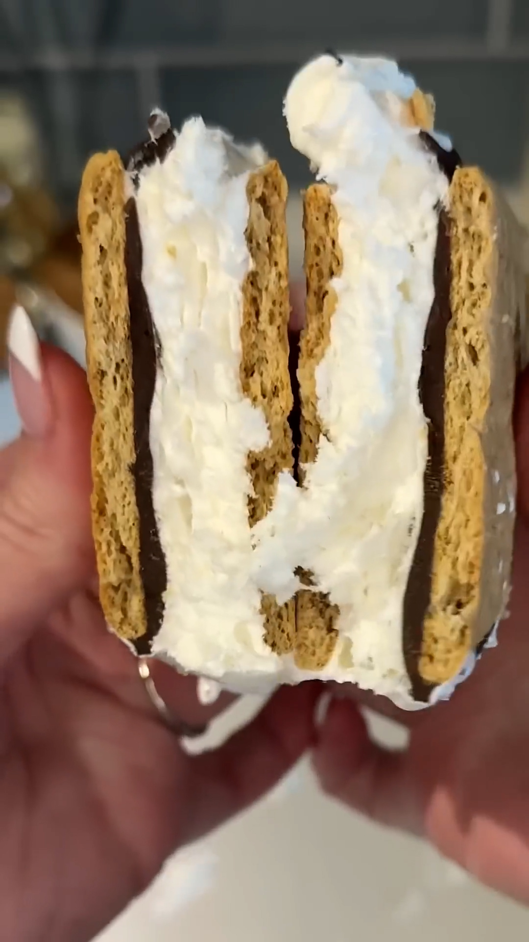 Campfire treat components frozen together in ice cream format