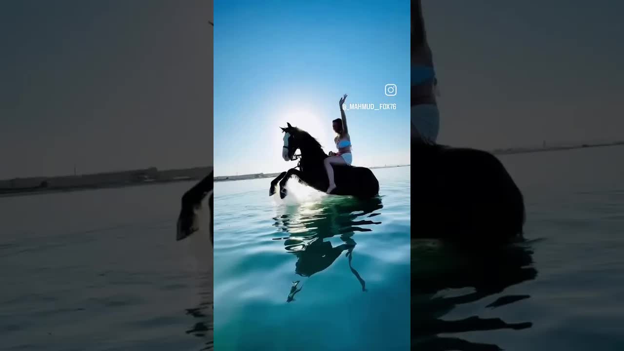Come on, let's go swimming with the horses, they're waiting for you! 🌊🐎