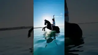 Come on, let's go swimming with the horses, they're waiting for you! 🌊🐎