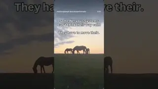 Watch any horse who feels safe. They are almost always moving — slowly, quietly, with purpose.