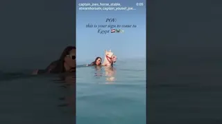 ‎‏🌊🐎 Swim with horses in the Red Sea 🇪🇬✨‎‏