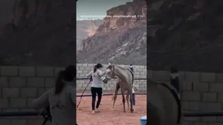 And here’s Sheikh’s Part 2. Groundwork, lunging, and then me on his back. 🐴