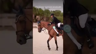 #MondayMotivation victory laps hit different 🐎🤩🔝