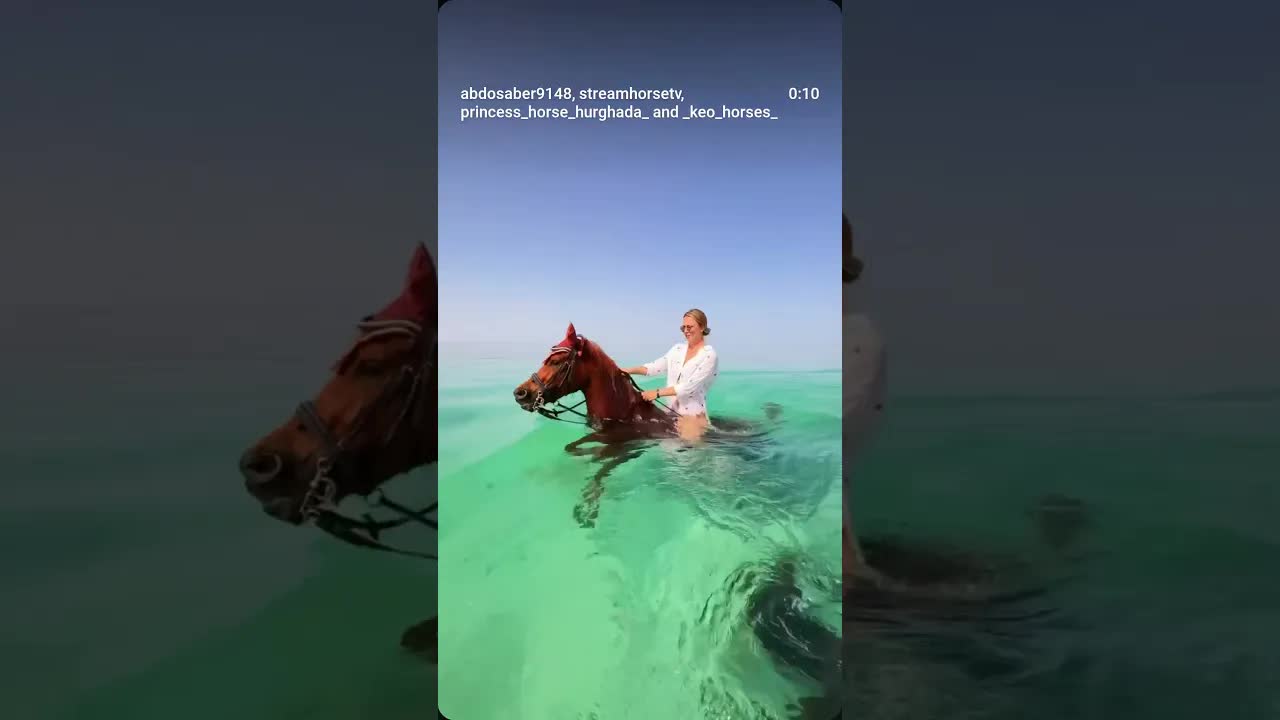 🌊🐎 Enjoy unforgettable horse trips along the beach, where the sea breeze meets the sound of hooves.