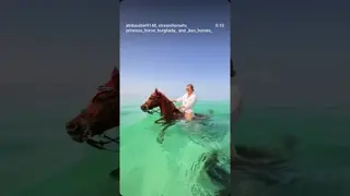 🌊🐎 Enjoy unforgettable horse trips along the beach, where the sea breeze meets the sound of hooves.