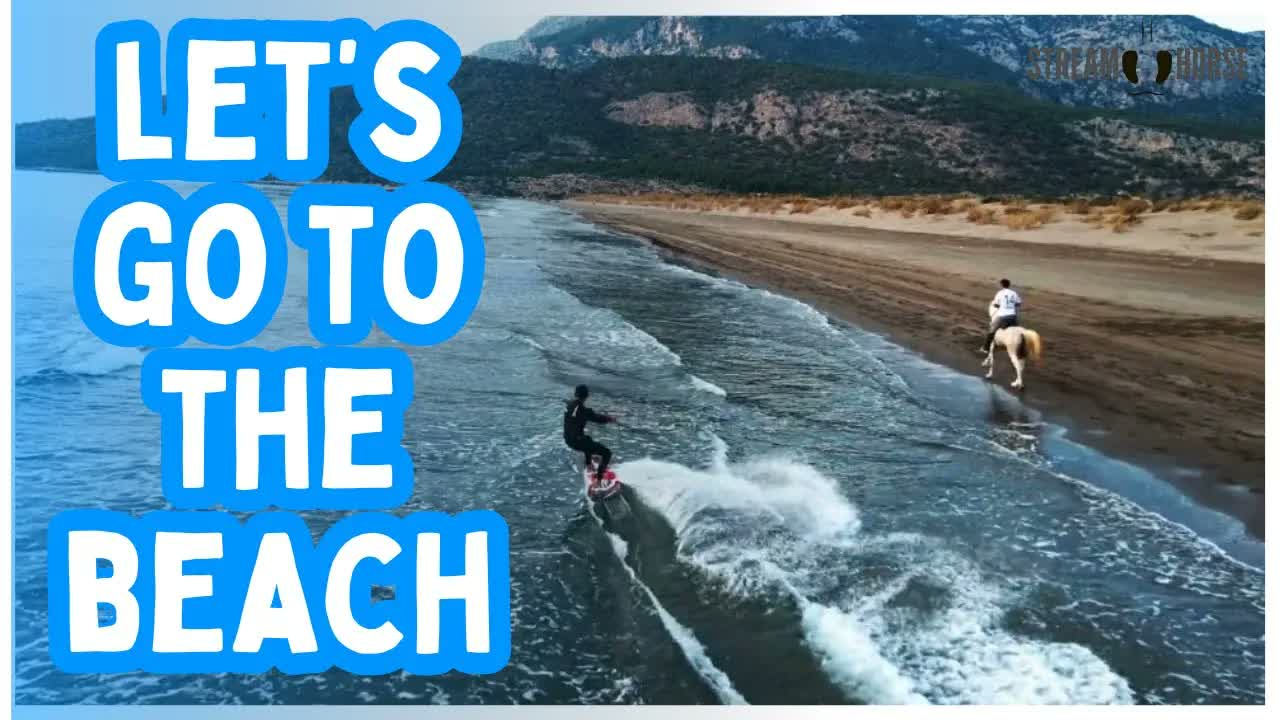 Horseback Riding on the Beach Compilation 🌊🐚🐎 Relaxing Coastal Gallops & Scenic Rides