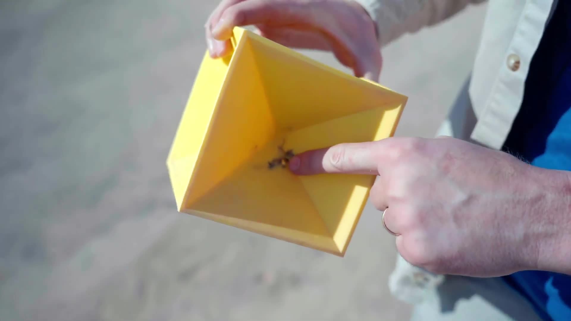 Putting self-healing range targets through punishment most shooters never deliver