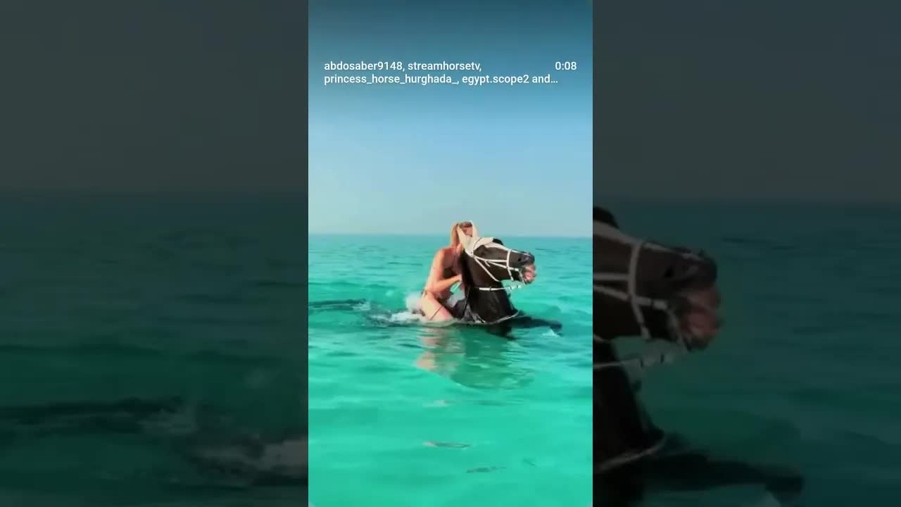 If you love freedom and heritage… experience the true feeling of a horse ❤️🐎🌊🌊🌊