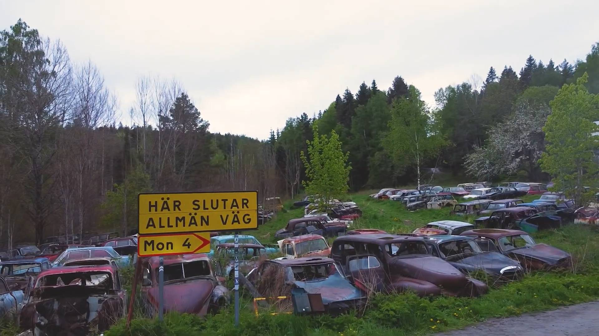 Glemt bilkirkegård i Sverige med hundrevis av klassiske biler