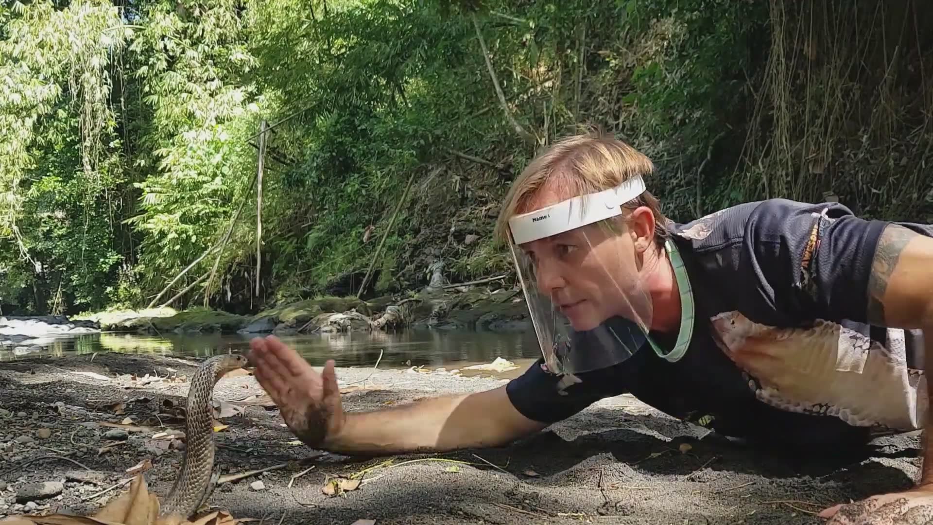 Discovering deadly spitting cobra species caught on camera