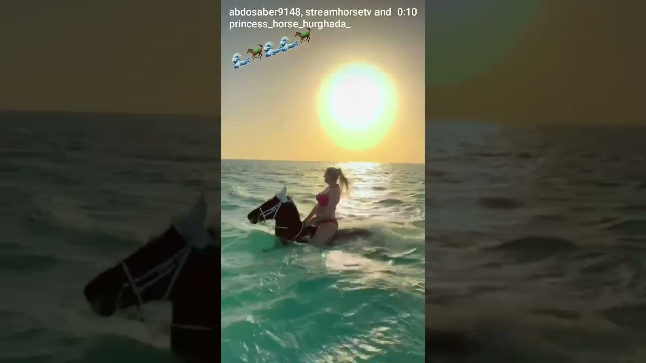 🌊🌊🌊🐎