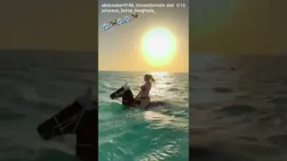 🌊🌊🌊🐎