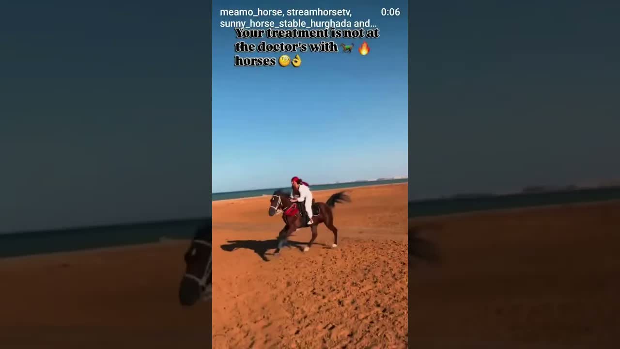 Sunny horse stable 😍🔥🔥🐎