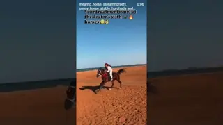 Sunny horse stable 😍🔥🔥🐎