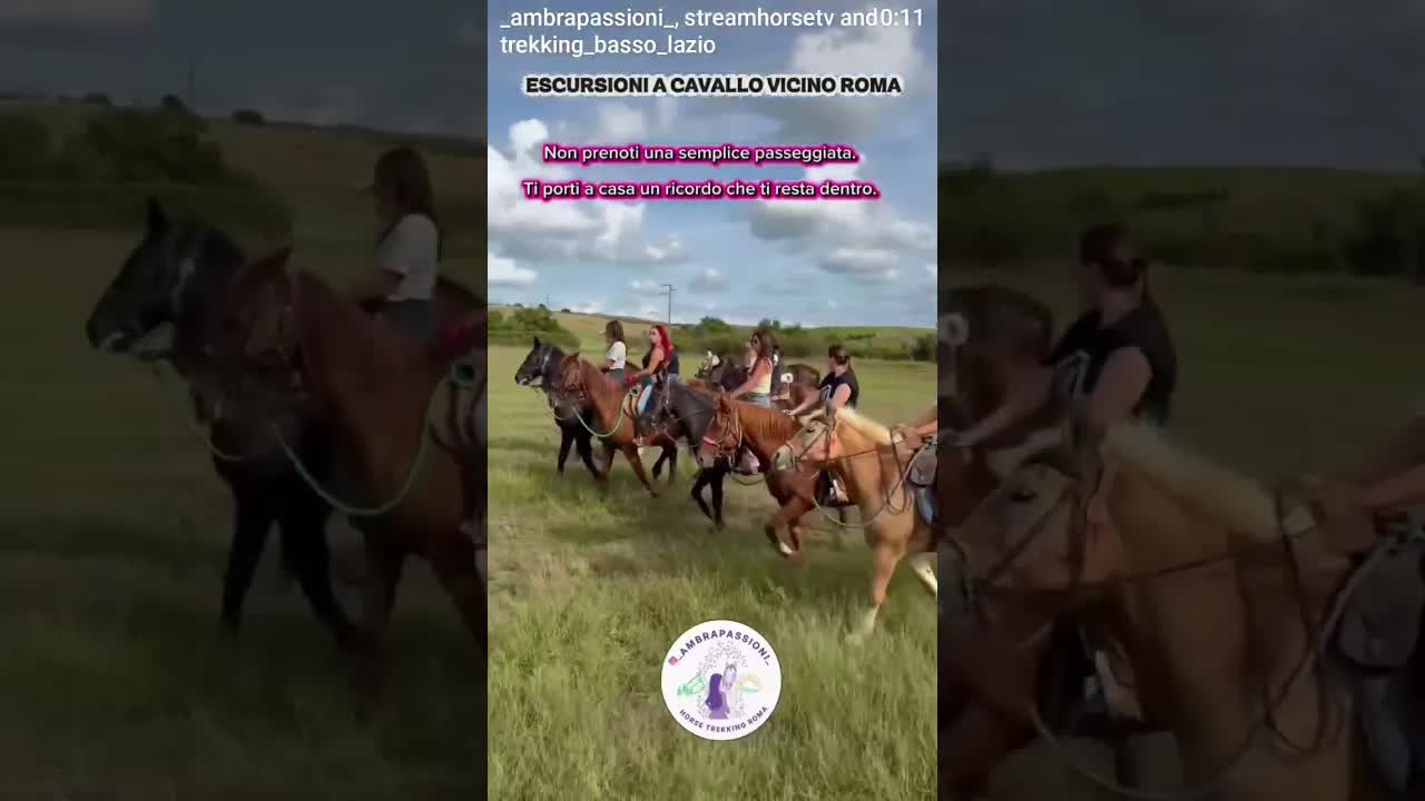 If you've come across this VIDEO, it's because you really need a break from your usual daily routine