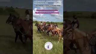 If you've come across this VIDEO, it's because you really need a break from your usual daily routine
