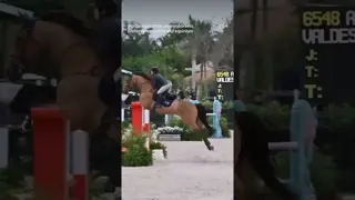 New week, new month, new motivation 🐎💪🔥