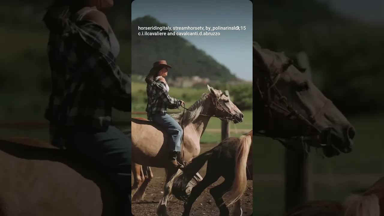 New places, new adventures, and new experiences are coming soon. ✨🐎