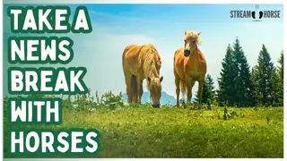 Healing Nature Views & Horses🐎🌎✨ Relaxing Video for Stress Relief