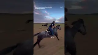 When our fields look like this, Horses fly 🔥🚀