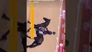 British Bridless Competition - The First fully Bridless riding competition in the UK.