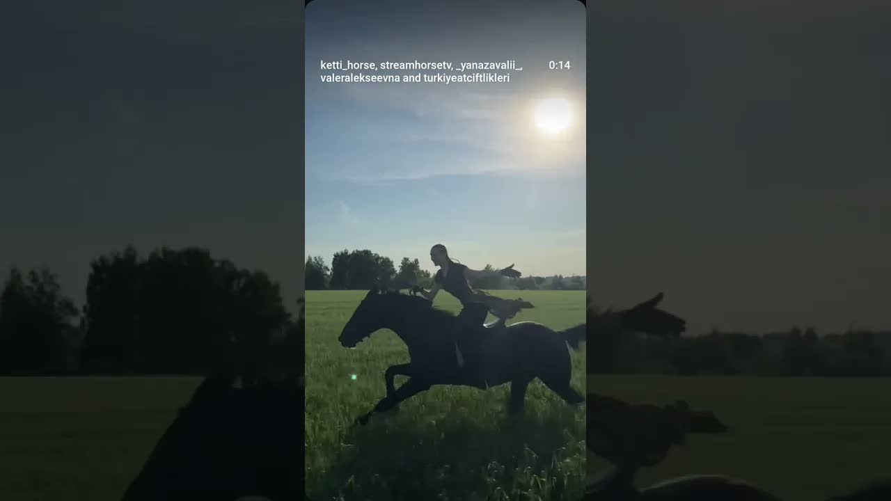 💚🚀🐎