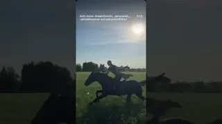 💚🚀🐎