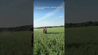 Beautiful! I'm proud 🚀❤️