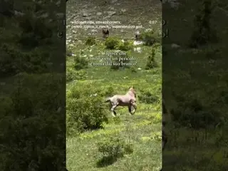 For a moment, time stands still.There are encounters that remind you how wild nature still is.
