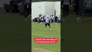 #Titans WR Carnell Tate may need a trick pass this season. #carnelltate #widereceiver #ohiostate