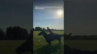 IF YOU'RE GOING TO FLY, THEN DO IT LIKE THIS ❤️