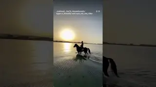 Ignore it...not everything deserves attention. 🐴🖤
