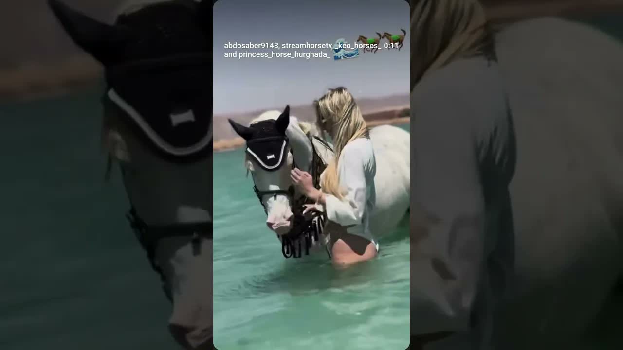 🌊🌊🐎