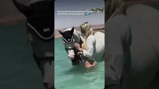 🌊🌊🐎