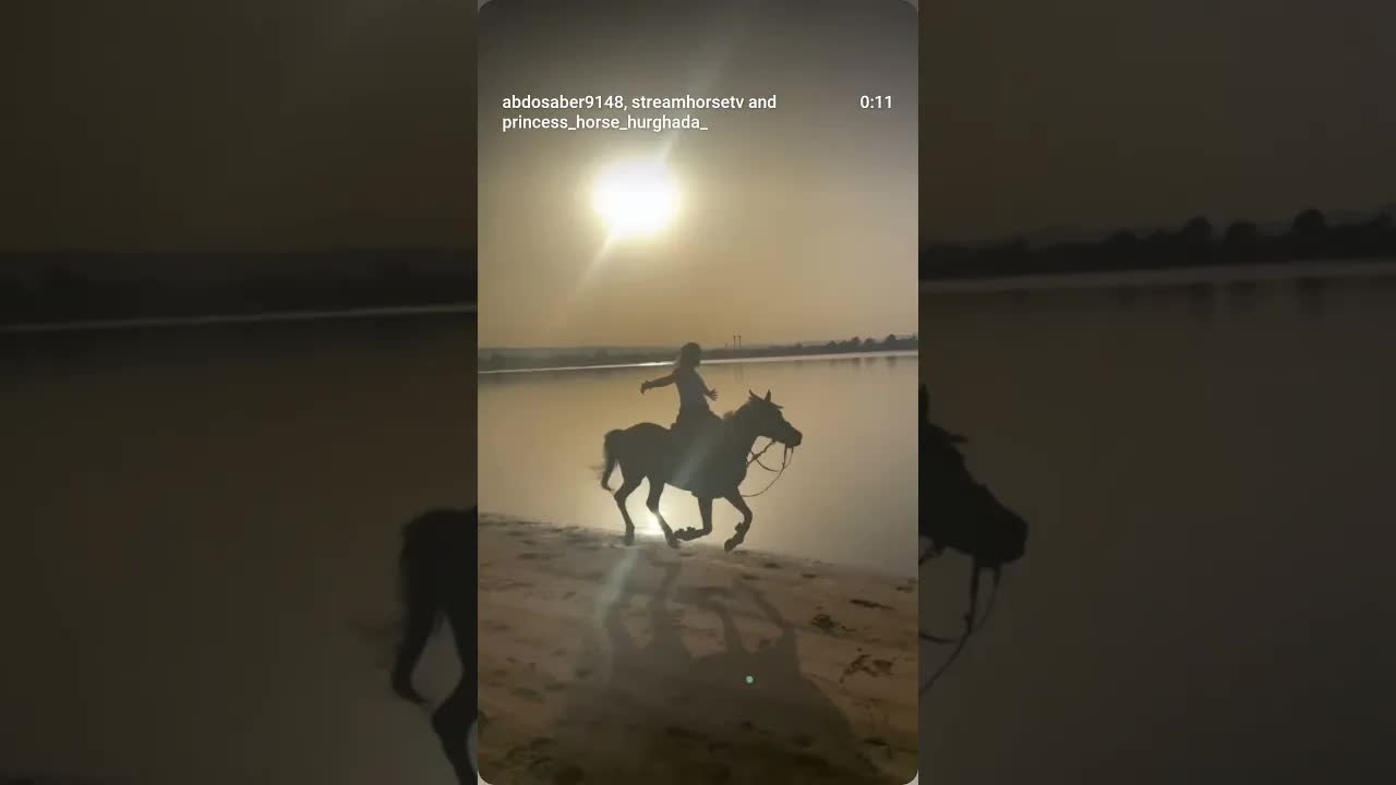 🐎🐎🌊