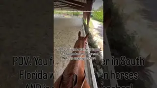 Just your average day at HMT! 🐎 Come ride with us!