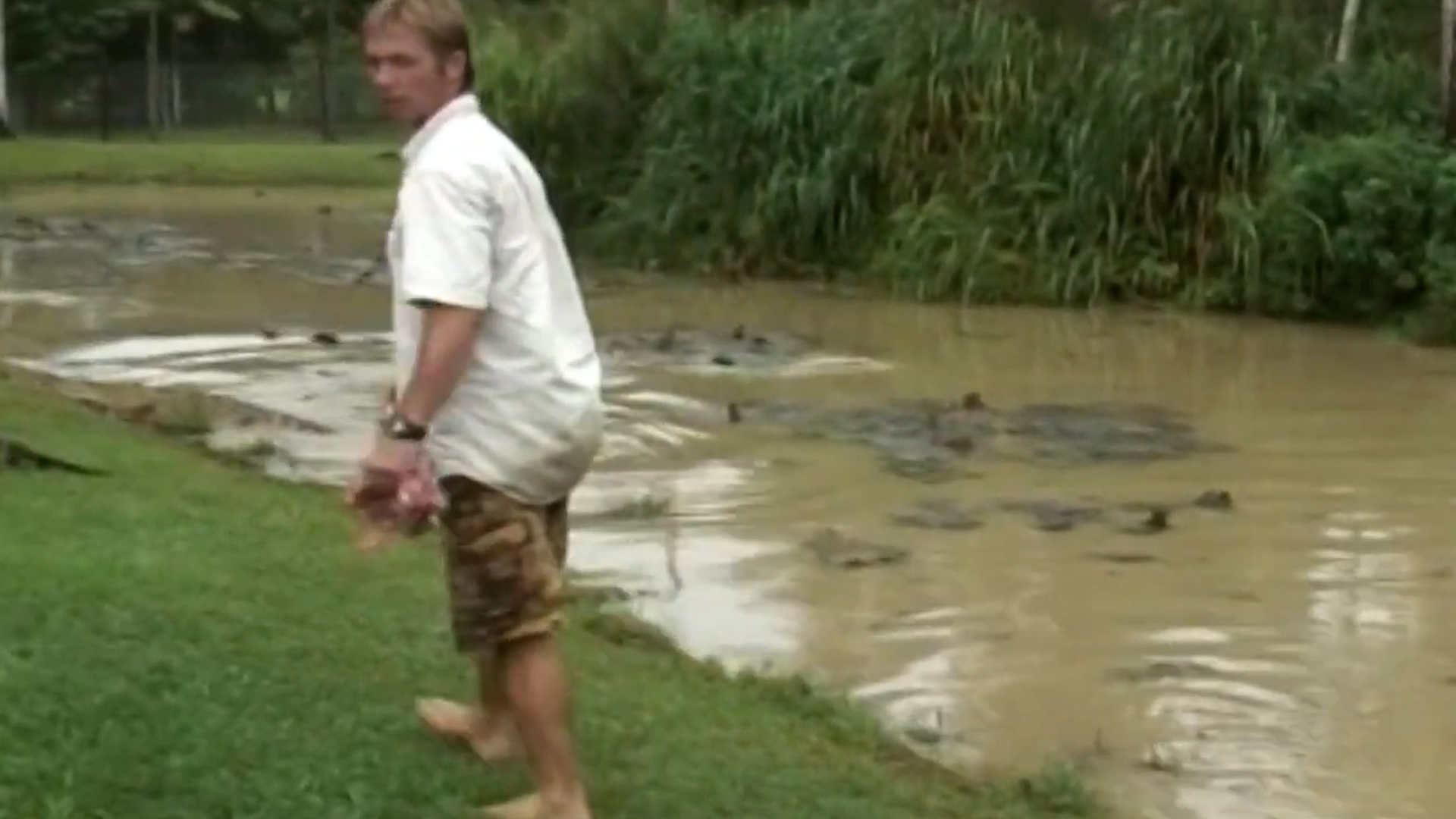 Man vs crocodile | Wrestling a monster reptile